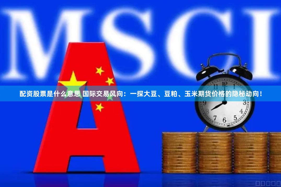 配资股票是什么意思 国际交易风向：一探大豆、豆粕、玉米期货价格的隐秘动向！