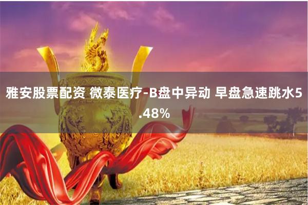 雅安股票配资 微泰医疗-B盘中异动 早盘急速跳水5.48%