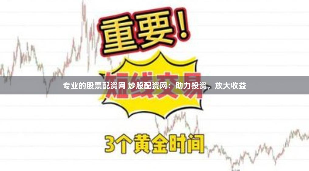 专业的股票配资网 炒股配资网：助力投资，放大收益